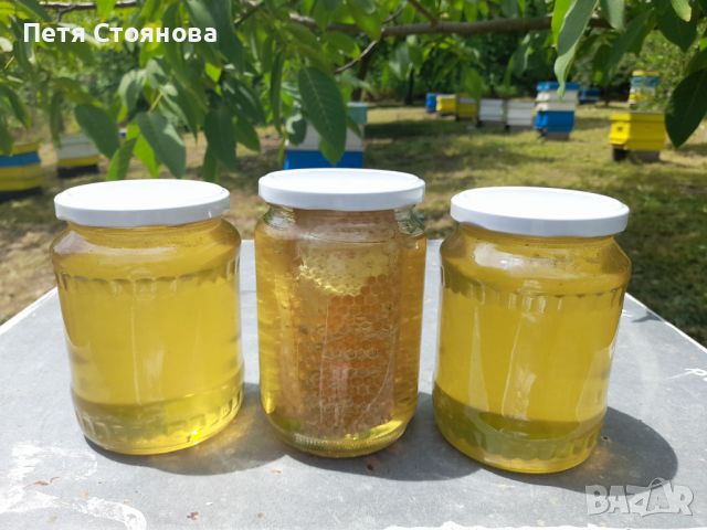 Пчелен мед от производител 2024г, снимка 1 - Пчелни продукти - 41874577