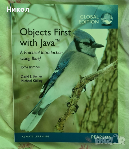 Object first with Java, снимка 1 - Специализирана литература - 45024551