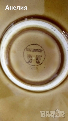 Тортиера прекрасна, снимка 4 - Чинии - 53893836