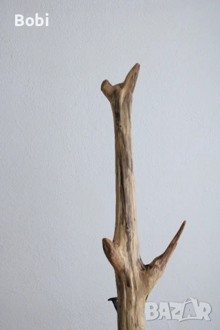 Дървена винтидж закачалка „Клон“ , снимка 4 - Други стоки за дома - 50459878