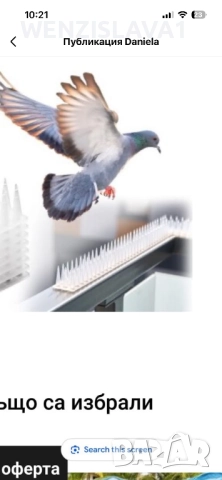 Шипове за гонене на гълъби