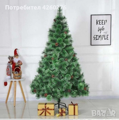 Елха естествено зелена с шишарки