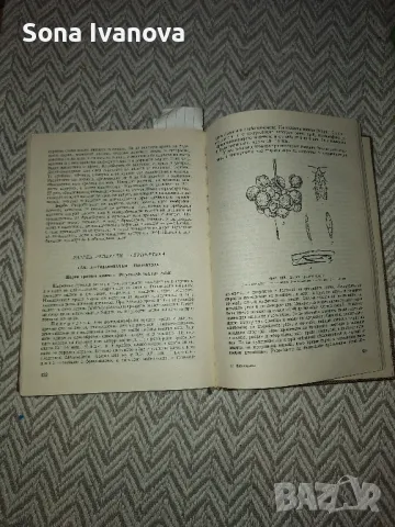 ЕНТОМОЛОГИЯ, 1974 г, Христо Г. Данов, снимка 5 - Специализирана литература - 50048082
