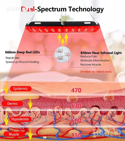LED лампа с червена и близка инфрачервена светлина Astarexin, За лице и тяло, 3 режима на работа, снимка 5 - Друга електроника - 53119339