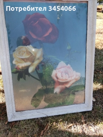 Стари картини, снимка 2 - Други ценни предмети - 51504973