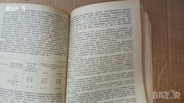 Книга Животновъдство 1961 г . Ат. Цонев и др, снимка 4 - Специализирана литература - 45554462