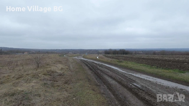 Голям парцел с постройки, с.Щипско, обл.Варна, снимка 5 - Парцели - 53230709