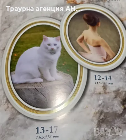 порцеланови снимки за хората и животните , снимка 13 - Траурни и погребални услуги - 50267306