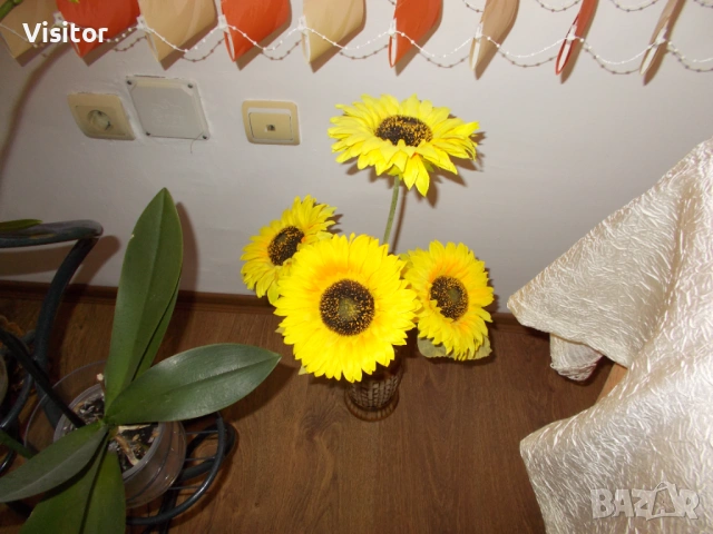 фотоапарат Nikon CoolPix L27  - 16MPx, снимка 13 - Фотоапарати - 54254749