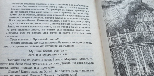 Стършел - Етел Лилиан Войнич, снимка 5 - Детски книжки - 51279075