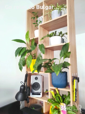 Апартамент 2+кк за продажба в Sunny Day 6 , България, снимка 13 - Апартаменти - 53669874