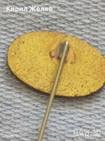 Пет значки стари редки PEP,HOECHST, CASTELLA за КОЛЕКЦИОНЕРИ 18679, снимка 5 - Колекции - 50904193