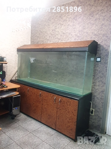 АКвариум 500 литра, снимка 2 - Аквариуми - 52591781