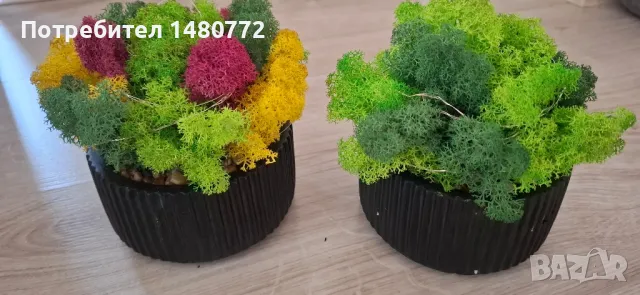 Светеща кашпа със скандинавски мъх , снимка 12 - Декорация за дома - 48169980