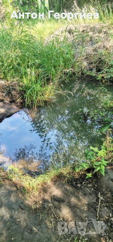 Продавам земеделска земя , снимка 2 - Земеделска земя - 53484515