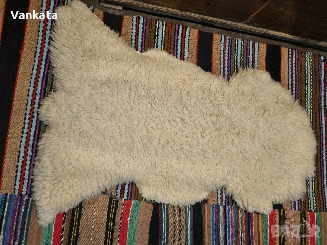 Агнешка кожа 