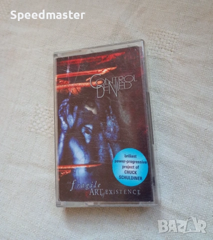 Control Denied - The Fragile Art of Existence.Wizard