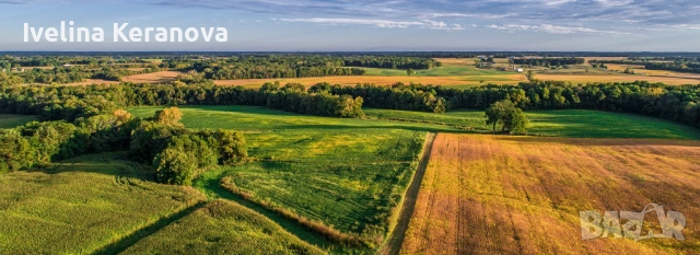 Продава ЗЕМЕДЕЛСКА ЗЕМЯ, с. Николаевка, област Варна