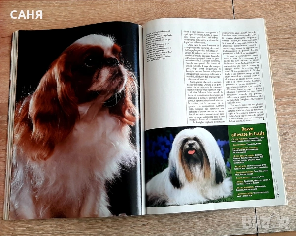 Списания за животни и Готварската книга на Флинстоун, снимка 6 - Детски книжки - 53224871