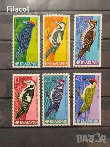 1978 (1 септември) Кълвачи.