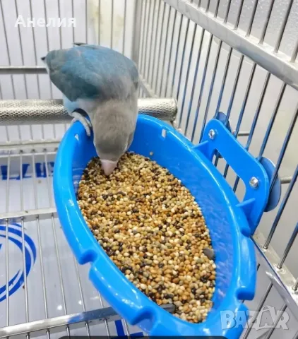 Ваничка за къпане на папагали, малки птици, снимка 3 - За птици - 49619045