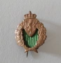 Военна спортна значка. 1915-1945. бронз. Норвегия., снимка 1