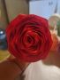 Вечни букети от сатенени рози, снимка 13
