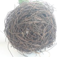 Декоративно гнездо с цветенца и яйца, снимка 6 - Декорация за дома - 45083655