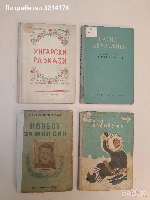 Повест за моя син - Елена Кошевая, снимка 1