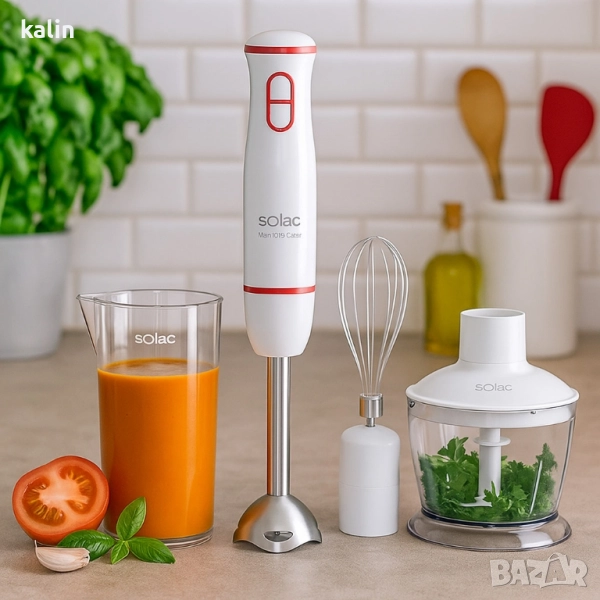 Пасатор, чопър и миксер - 3в1 Solac Mixo 1000 Chef, снимка 1