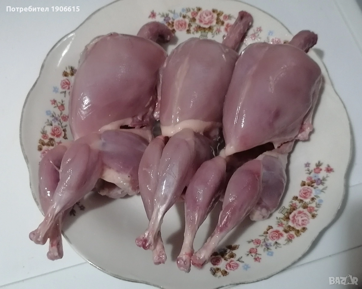 Изчистени пъдпъдъци , снимка 1