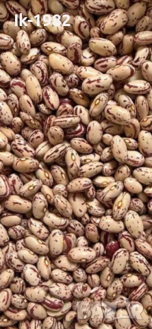 Шарен боб от Родопите 