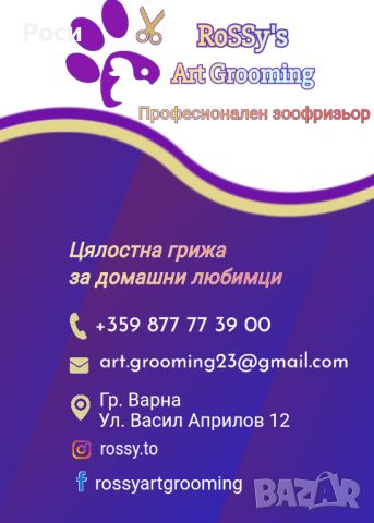 Подстригване на домашни любимци Варна , снимка 10 - Ветеринари и услуги - 45514678