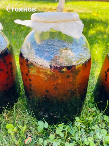 Сироп черен бъз с мед, бъзак с мед, снимка 11 - Други - 51738820