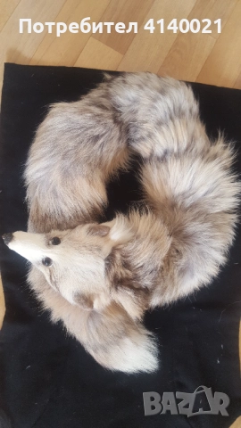 Яка от лисица , снимка 3 - Шалове - 52934895