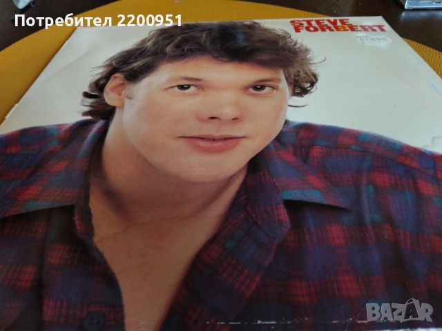 STEVE FORBERT, снимка 3 - Грамофонни плочи - 46116203