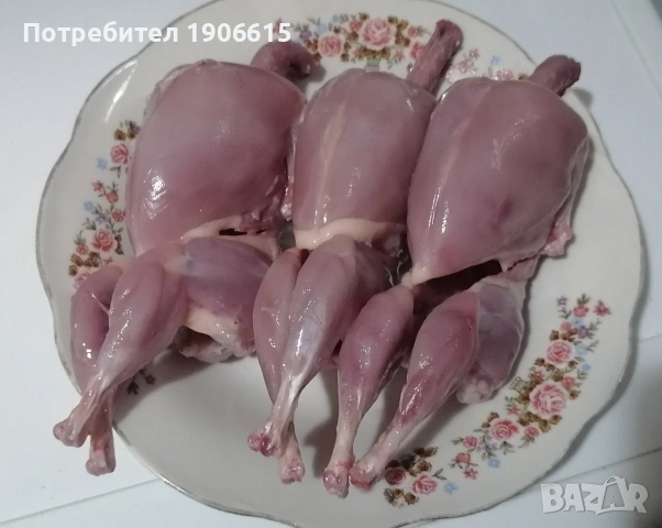 Изчистени пъдпъдъци 