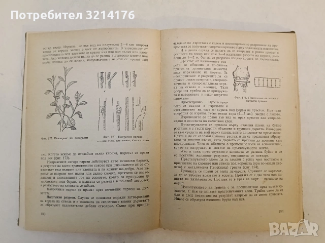Нагледно ръководство по овощарство. Второ преработено и допълнено издание - Цочо Спасов, снимка 6 - Специализирана литература - 53581681