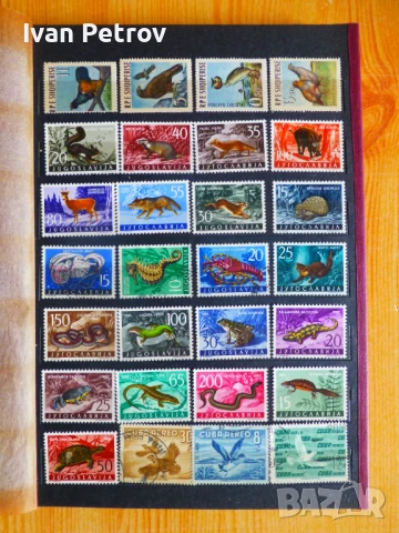 Продавам серии пощенски марки „Животни и растения“, снимка 5 - Филателия - 50960831