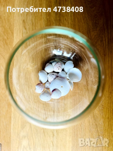 Малък стъклен аквариум за рибки - 5 литра, снимка 3 - Аквариуми - 53483662