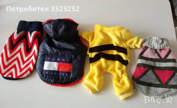 ПРОДАВАМ  БЯЛ  ЖЕНСКИ  СЪРНИСТ ПИНЧЕР  НА  2 М.  , снимка 7 - Пинчер - 53218338