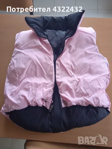 Елек двулицев, снимка 1