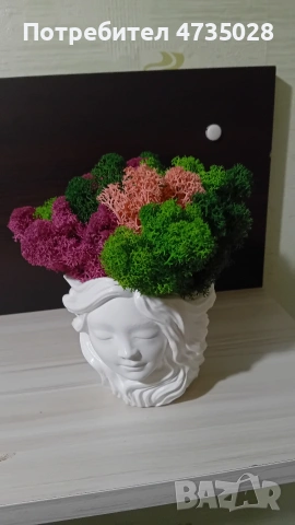 Кашпа със скандинавски мъх , снимка 3 - Подаръци за жени - 53446142