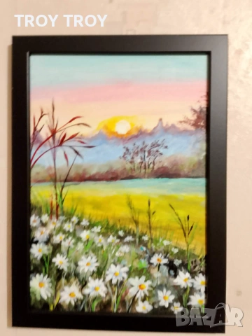 Акрил , снимка 3 - Други - 54270828