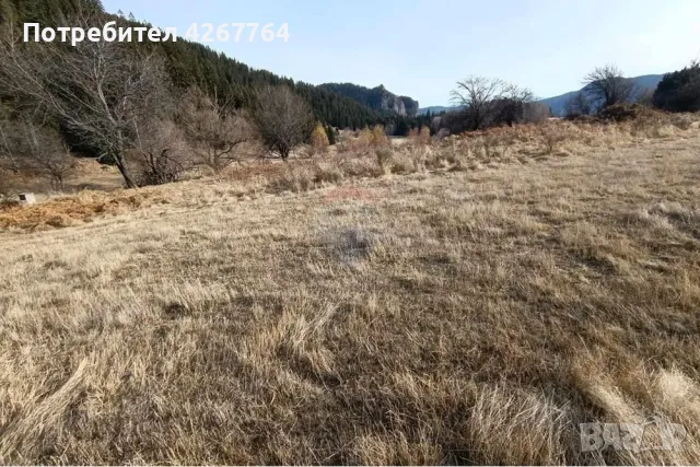 Поземлен имот в Езерово, снимка 4 - Парцели - 50132572