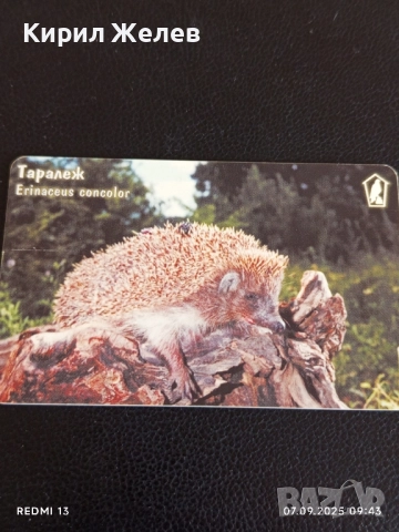 Три фонокарти серия ЖИВОТНИ АЛПИЙСКИ ТРИТОН, ТАРАЛЕЖ,ЖАБА ДЪРВЕСНИЦА 28162, снимка 6 - Други ценни предмети - 51630547