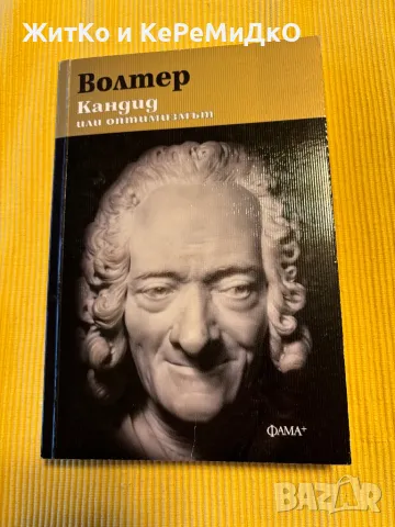 Волтер - Кандид или оптимизмът, снимка 1 - Художествена литература - 47552816