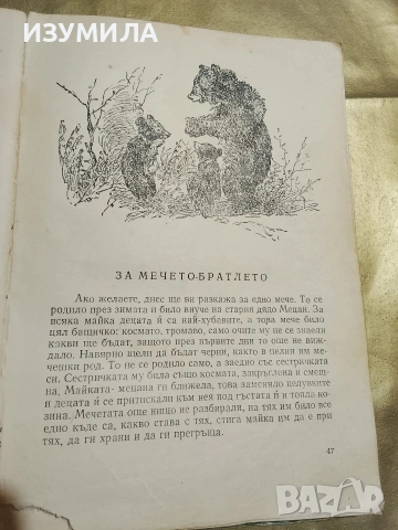 Горски приказки - Оксана Иваненко, снимка 3 - Детски книжки - 53329307