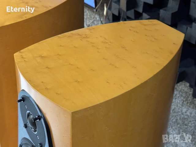 Phonar Credo S100 / Тонколони, снимка 10 - Тонколони - 53049067