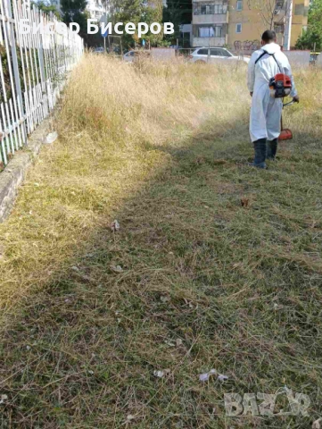 Чистене на запустели терени дворове рязане на дървета и храсти 